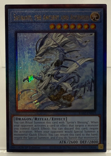 Foto 1 di 1