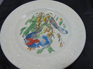 Adams China Audubon Birds of America Florida Jay Collector Plate 10 1/4" Vintage - Picture 1 of 6