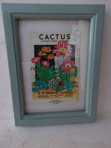  ORIGINAL-R.H. Shumway CACTUS Seed Lithograph Packet Seed Art! - Picture 1 of 2