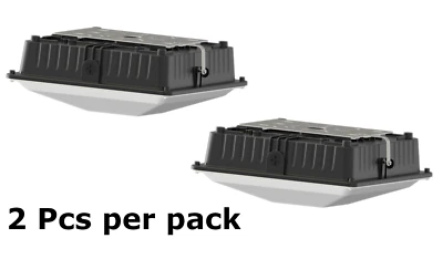 ANTEC LIGHTING 2-Pack 40Watt LED Garage Canopy Light 5000K 5850LM,250-300W HPS/HID UL DLC