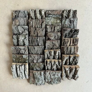 25 Baumrindenquadrate / gemischte Arten / Größe: 3,5 x 3,5" (25 Stück) - Bild 1 von 5
