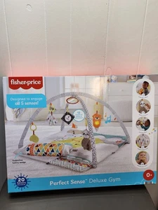 Fisher-Price Perfect Sense Deluxe Gym Play Mat  Tummy Time Wedge - Picture 1 of 7