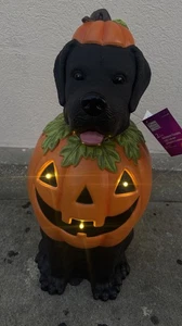 2025 Black Lab Halloween Dog Blow Mold Ghost LED Home Depot 2.5 Ft Pumpkin - Picture 1 of 3