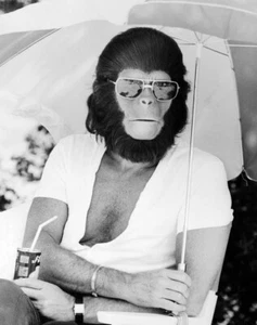 Planet of the Apes rare Behind the Scene 8" x 10"  Photo - Picture 1 of 1