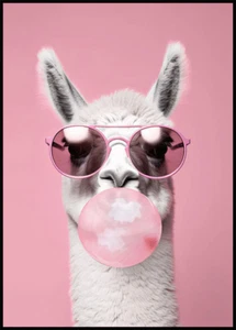 Niedliches Lama bläst einen Kaugummi ungerahmtes Poster Wandbild - 50 x 70 - Bild 1 von 1