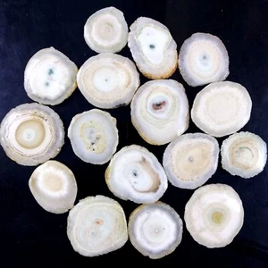 Lote de 16 piedras preciosas cabujón de seda de cuarzo solar natural 952 quilates 34x34 24x24mm #2087 - Imagen 1 de 6
