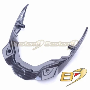 2015-2019 BMW S1000XR Carbon Fiber Rear Seat Tail Light Surround Cover Fairing - Picture 1 of 4