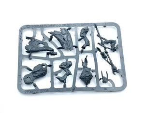 Beastmen Bray-Shaman [x1] Beasts of Chaos [Warhammer The Old World] Sin base - Imagen 1 de 2