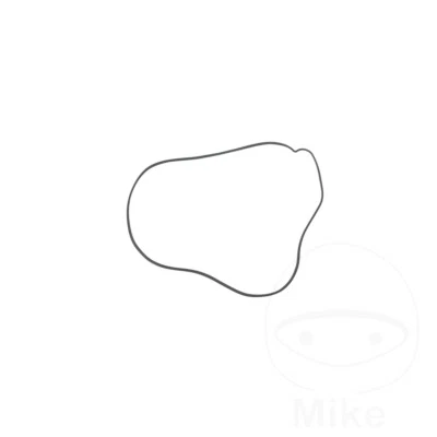 Junta de cubierta de embrague 734,50,96 para KTM Super Duke 1290 GT LC8 2016 Foto 1 de 4