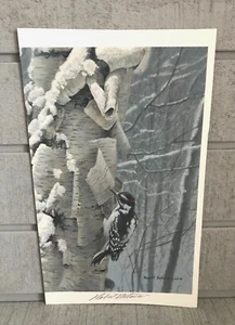 ROBERT BATEMAN 2001 Signed Art Print ~ HAIRY WOODPECKER ~ Read Description - Picture 1 of 3