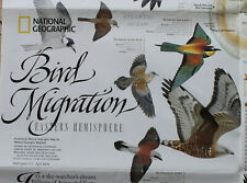 Bird Migrations Eastern / Western Hemisphere  National Geographic Map Feb 2004