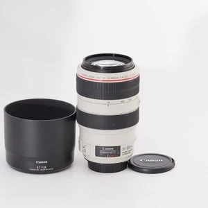 Canon EF 70-300mm F/4-5.6L IS USM [Excellent+] #13377 - Picture 1 of 9