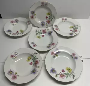 H & C Czechoslovakia Porcelain Rimmed Soup Plates with Floral, Set of 6 ( F68) - Picture 1 of 11