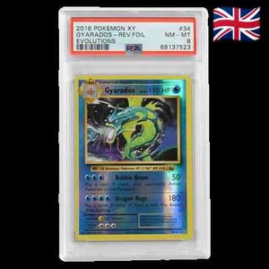 EN - Gyarados Holo - XY Evolutions - PSA 8 NM-MT - Bild 1 von 1