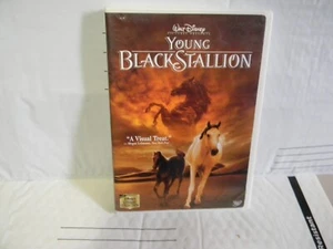 Young Black Stallion (DVD, 2004) - Imagen 1 de 4