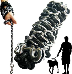 Dog Leash Metal Leashes Chain Rope with Pet Collar Training Walking Leads Heavy - Picture 1 of 7