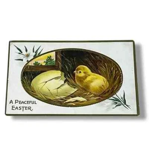 Postal Un pollito de Pascua pacífico en relieve dorado c1912 tarjeta trasera dividida C732 - Imagen 1 de 2