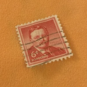 U.S. Postage Theodore Roosevelt 6 Cent Stamp Used (6) - Picture 1 of 2