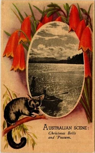 ESCENA AUSTRALIANA CAMPANAS DE NAVIDAD Y ZARIGÜEYA VISTA POSTAL ANTIGUA - Imagen 1 de 2