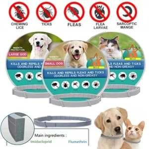 Cat Dog Flea And Tick Collar Adjustable 38/70CM 8 Months Protection Retractable - Picture 1 of 45