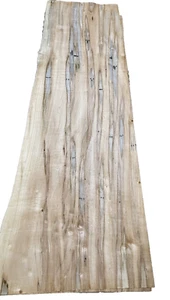 Maple Spalted Ambrosia Wormy wood veneer 8" x 24" raw no backing 1/42" thickness - Picture 1 of 6