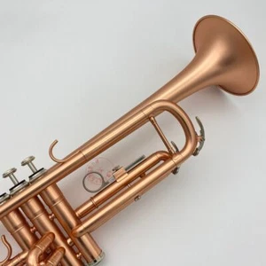 Nuevo instrumento trompeta profesional con accesorios - Imagen 1 de 6