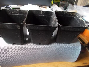 ene 130 Pflanztöpfen 10x10x11 cm 130Stk. - Bild 1 von 6