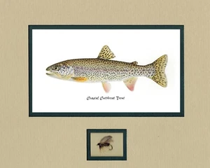 California Trout prints by Joseph Tomelleri matted with fly - Picture 1 of 18