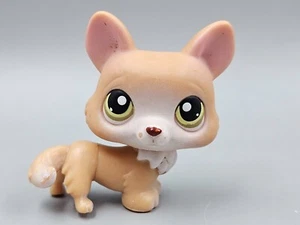 Littlest Pet Shop 2006 Generation 2 LPS #183 Corgi Puppy Brown Green Dot Eyes - Picture 1 of 4