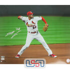 Nolan Arenado St. Louis Cardinals Signed Autographed 16X20 Photo Usa Sm Jsa #6