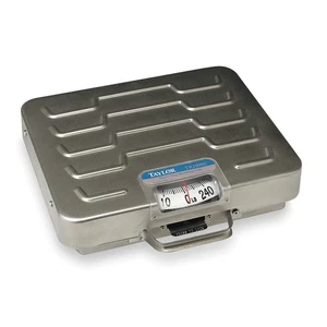 TAYLOR TR250 General Purpose Utility Bench Scale 3NZG5 - Picture 1 of 1