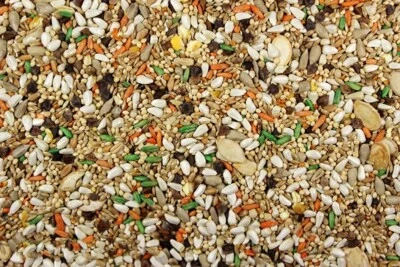 LEACH GRAIN AND MILLING CO. Royal Feeds Small Hookbill Plus - Bird Food for Small Parrots, Budgies (5 lbs)