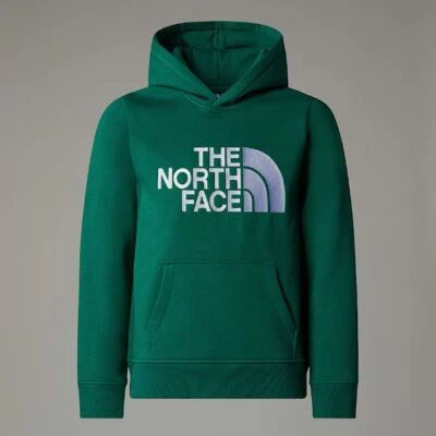 Sudadera Niño Junior The North Face Boys Drew Peak Hoodie A89HH NL1 Verde - Imagen 1 de 4