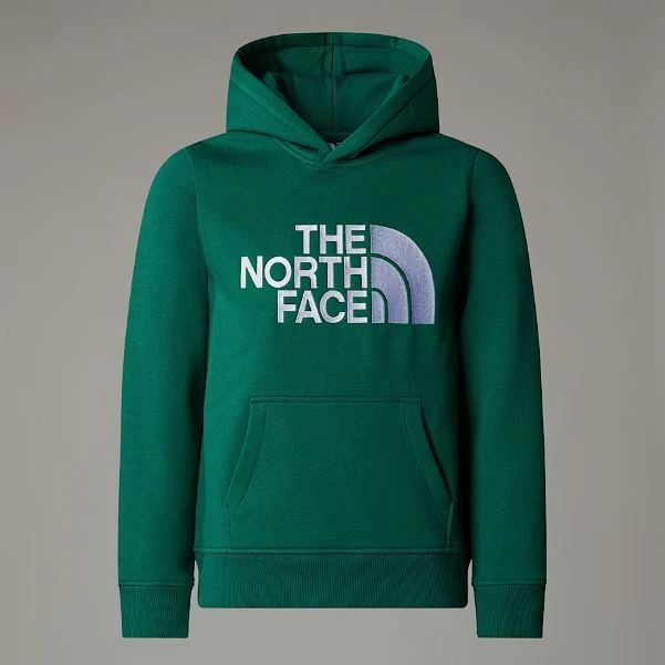 Felpa Bambino Junior The North Face Boys Drew Peak Hoodie A89HH NL1 Verde - Imagen 1 de 4