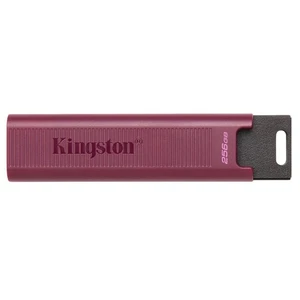 Kingston DataTraveler Max Unità Flash USB DTMAXA/256GB - Foto 1 di 5
