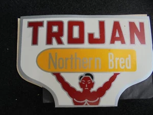 OLD "TROJAN NORTHERN BRED" SEED CORN ADVERTISING NEEDLE CARDS-COMPLETE WITH NEED - Picture 1 of 2