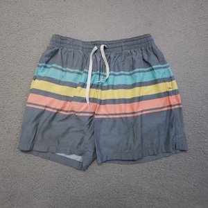 Chubbies Swim Shorts Mens Large Gray Multicolor Striped Drawstring Lined Beach - Picture 1 of 11