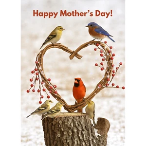 FiBei Greetings Mother's Day You Are The World Message Card - Picture 1 of 7