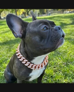 Dog Collar | Cat | Cuban | Rose Gold, Gold, Silver | Small, Medium, Large | - Picture 1 of 6