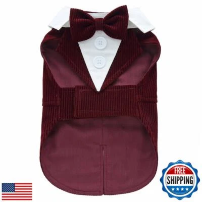 DOTEYAYP Puppy Velvet Tuxedo with Detachable Bowtie Prom Wedding Formal Wear  - Image 1 of 4