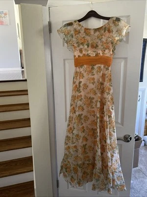 Vestido Formal Vintage Sylvia Ann Años 60/70 Naranja Floral Gasa Baile de graduación S 6 Foto 1 de 4