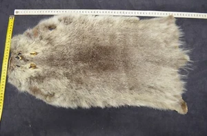 Nutria Felle LARP Mittelalter Echtfell basteln grau - Bild 1 von 6