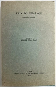 Tain Bo Cualnge: From the Book of Leinster - Picture 1 of 6