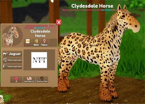 Wild Horse Islands - Jaguar, Jaguar Spots, CLYDESDALE HORSE IUC/IUH - Foto 1 di 1