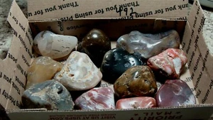 Polished Mixed Agate - All Natural Color Agate From NW USA #492 - Picture 1 of 3
