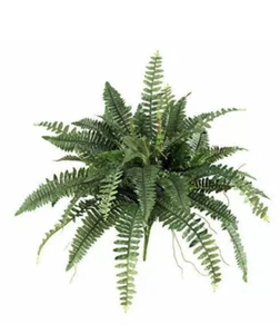 40” Boston Fern Artificial Bush Plant Pack 2 Home Decor. Retail $76 - Picture 1 of 8