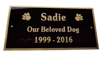 PLACA URNA DE LATÓN GRABADO CONMEMORATIVO PERRO GATO MASCOTA GRABADO GRATIS ENVÍO RÁPIDO  Foto 1 de 4
