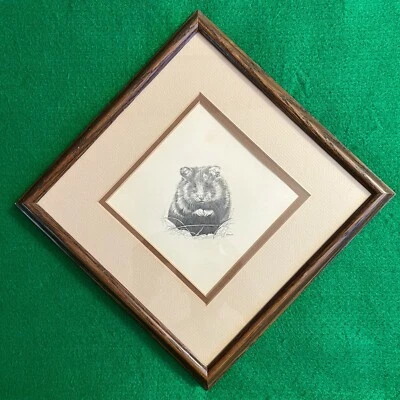 Pintura ARTE Animal ORIGINAL Firmado DAVID BROMLEY Dibujo a Lápiz ENMARCADO Foto 1 de 4