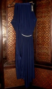 BNWT RRP$300 Formal RIVER ISLAND 12-14 PURITAN METAL COLLAR ROMAN GODDESS Dress - Bild 1 von 12