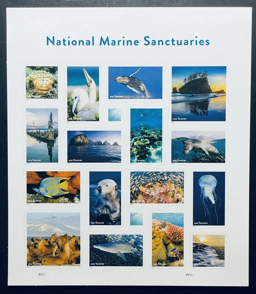 SANTUARIOS MARINOS NACIONALES DE ESTADOS UNIDOS PARA SIEMPRE HOJA DE SELLO DE 16 MNH 2022 MANATÍ BALLENA Foto 1 de 1